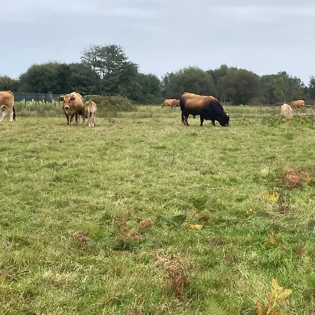 Casa Luis “el Ferre” Holiday home *